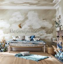 Air Golden Light fotomurales Harlequin todas las imgenes 