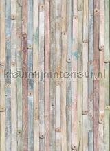 Vintage wood photomural Komar world maps 