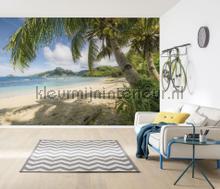 Castaway fotomurais Komar telhas 