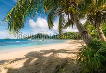 Castaway fotomurais Komar telhas 