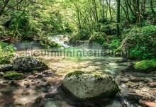 Riverbed fototapeten Komar weltkarten 