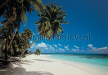 Maldives fotomurais Komar telhas 