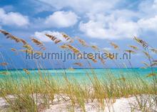 Ocean breeze fotomurais Komar telhas 