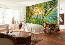 Spring lake fotomurali Komar Sun Mare Spiaggia 