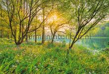 Spring lake fotomurali Komar Sun Mare Spiaggia 