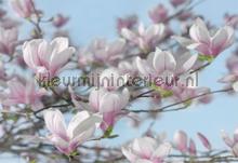 Magnolia fototapet Komar verdenskort 