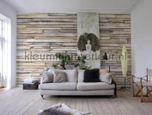 Whitewashed wood photomural Komar world maps 