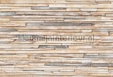 Whitewashed wood fotomurais Komar telhas 