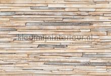 Whitewashed wood photomural Komar world maps 