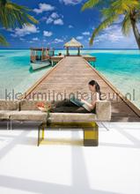 Beach resort fotomurais Komar telhas 