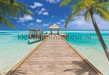 Beach resort fotomurais Komar telhas 