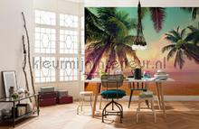 Miami fotomurais Komar telhas 
