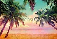 Miami fotomurais Komar telhas 