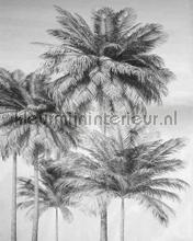 Cocco fotomurali Komar Sun Mare Spiaggia 