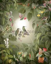 Wildlife birds papier murales Komar Voitures Transport 