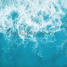 The shore fotomurais Komar telhas 