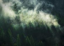 Misty crowns fotomurali Komar Sun Mare Spiaggia 