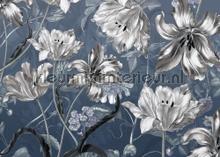 Merian blue fototapet Komar verdenskort 