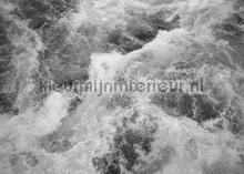 Wildest water fotomurais Komar telhas 