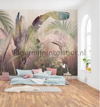 Komar Colours Imagine Edition 5 fotomurali