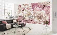 Peonies papier murales Komar structures 