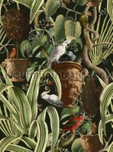 Exotic menagerie dark fototapeten Mindthegap Compendium WP20463