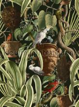 Exotic menagerie dark fotomurali Mindthegap PiP studio wallpaper 