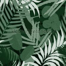 Jardin del sol green fototapeten Mindthegap Compendium WP20492