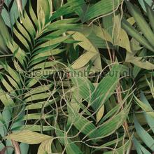 Exotic garden fototapeten Mindthegap Compendium WP20515