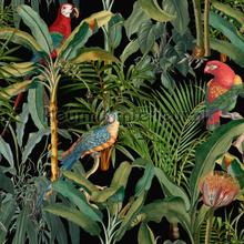 Parrots of brasil anthracite fotomurais Mindthegap telhas 
