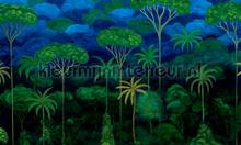 Ciel tropical Bright midnight fottobehaang Arte Decors Panoramiques 97650