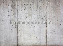 Concrete fototapeten AS Creation weltkarten 