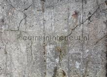 Concrete with cracks fototapet AS Creation verdenskort 