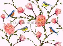 Pink roses and little birds fotomurali AS Creation Designwalls dd118539