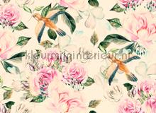 Pink roses and birds fottobehaang AS Creation Designwalls dd118543