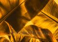 Broken Leaf II fotobehang dd118555 Modern - Abstract Stijlen