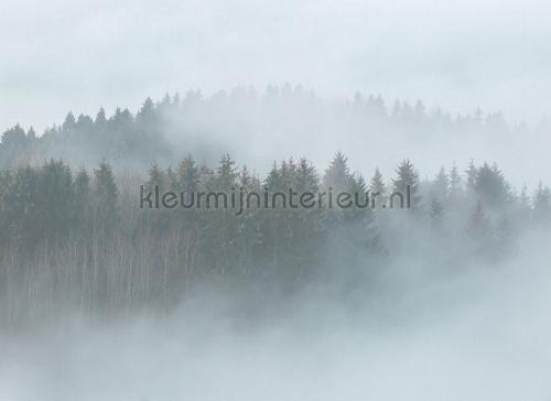 Misty Forest fotomurales dd118605 Bosques AS Creation