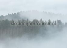 Misty Forest fotomurais AS Creation telhas 
