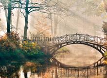 Scenery with bridge fotomurais AS Creation telhas 
