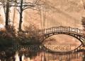 Scenery with bridge fotomurales dd118625 Bosques Temas