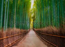 Bamboo lane fototapeten AS Creation weltkarten 