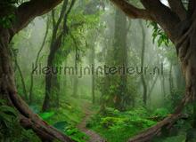 photomural Forests