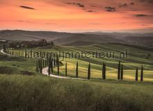 Romantic Toscana behang AS Creation Designwalls dd118653