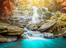 photomural waterfall