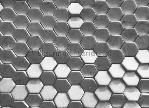 Hexagon surface 1 photomural dd118723 Graphic - Abstract AS Creation