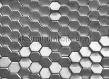 Hexagon surface 1 fotomurali AS Creation PiP studio wallpaper 