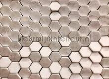 Hexagon surface 2 behaang AS Creation Designwalls dd118725