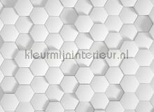 Honey comb 1 fotobehang AS Creation Grafisch Abstract 