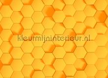 Honey comb 2 papier peint AS Creation Designwalls dd118729