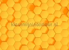 Honey comb 2 behaang AS Creation Designwalls dd118729